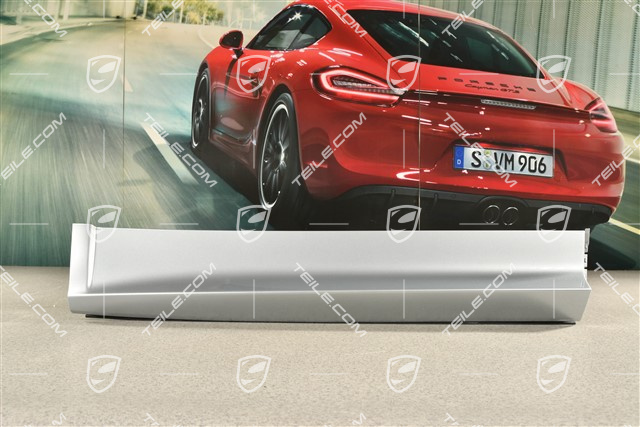 Aerokit / Sport Design, Hintertür, leiste, R