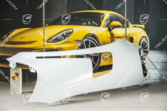 Fender, GT3RS II / GT2RS, Carbon, L