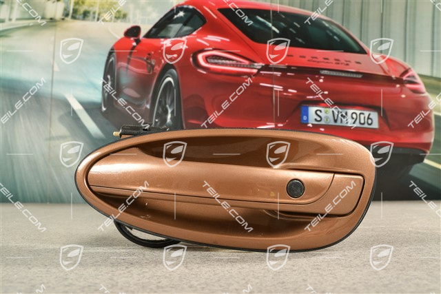 Turgriff, komplett, L (KESSY)