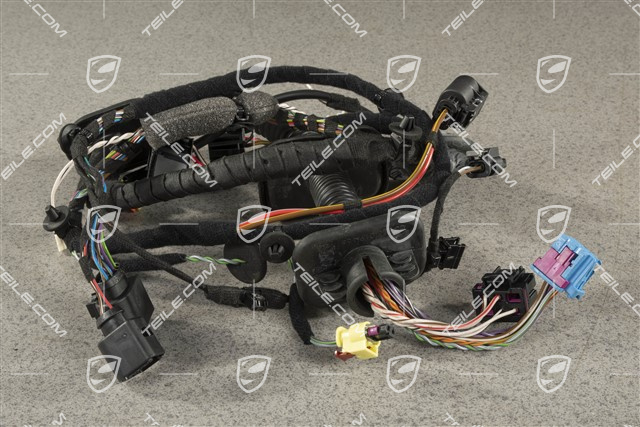 Wiązka instalancji elektrycznej drzwi kierowcy, L