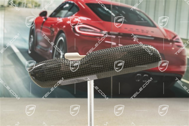 Dashboard trim, Black, Drivers side, carbon, L