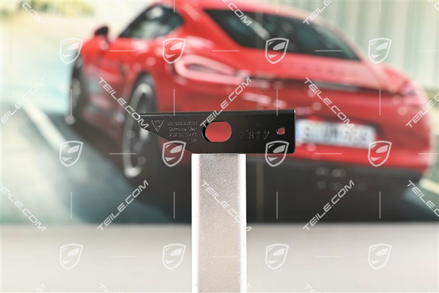 C2 / C4 / GTS, Halteschiene, Hinten, seitlich / aussen, Sportabgasanlage L=R