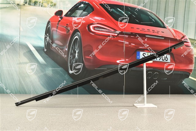 Türschachtabdichtung, Hinten, Aussen, R