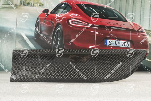 Rear door cover / trim, Carbon Gloss Black, L