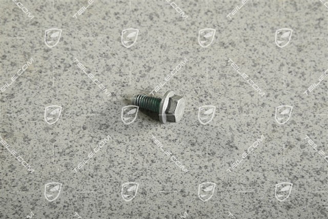 Screw Screw