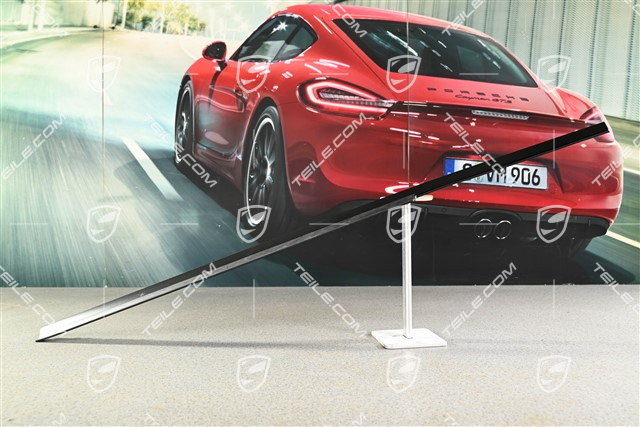 Listwa drzwi zewnętrzna, zgarniająca, Targa/Cabrio, L