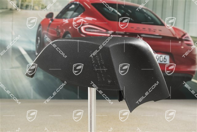 Rear light cover, inner, R