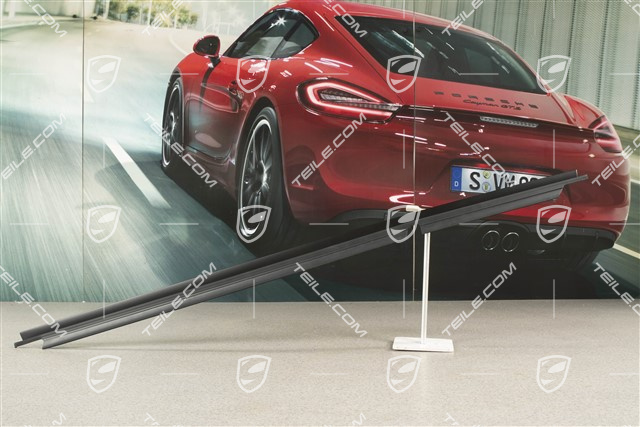 Listwa drzwi zewnętrzna, zgarniająca, Coupe, L