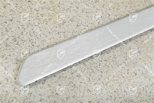 Einstiegleiste für Schwellerblende, Aluminium-gebürstet, R