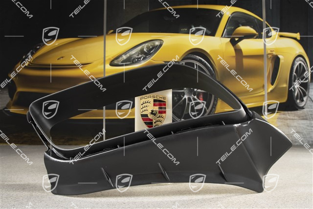 Cover, Tail pipe, black mat, R