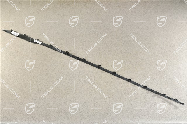 Zierleiste für Schwellerblende / Seitenschweller, L