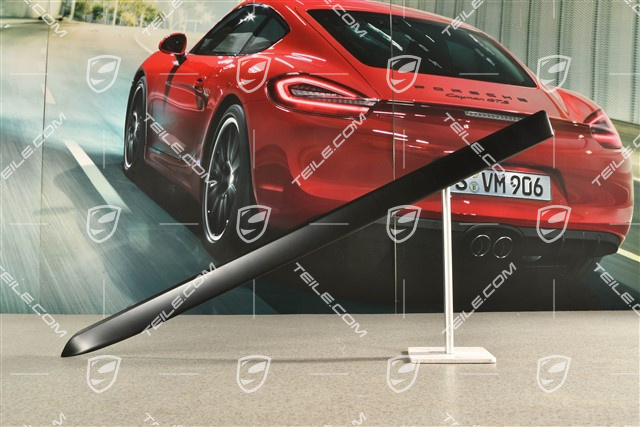 Zierleiste, Alu, Hintertür, Schwarz matt, R