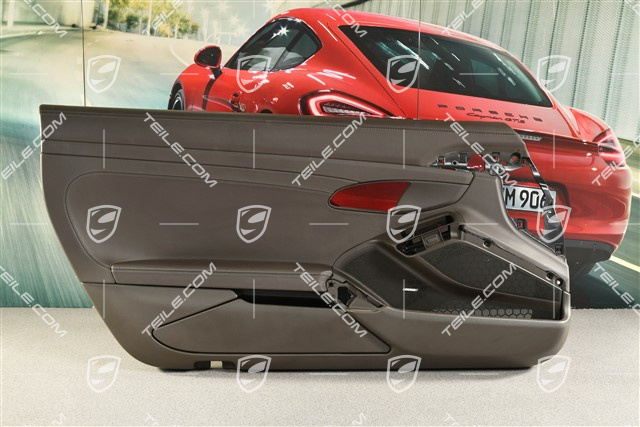 Türverkleidung, Leder Achatgrau, Bose, L