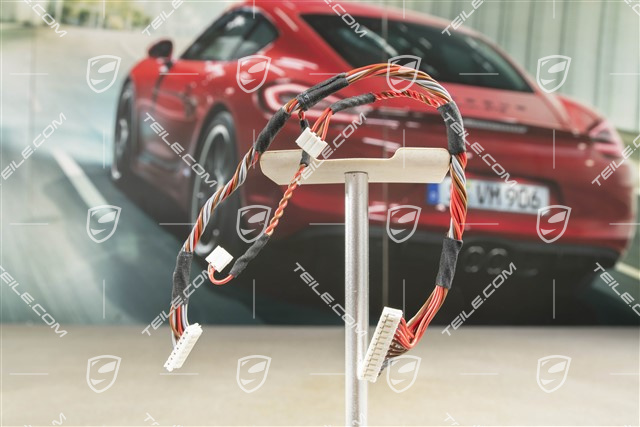 Kabelbaum für die Innenbeleuchtung, Dachhimmel