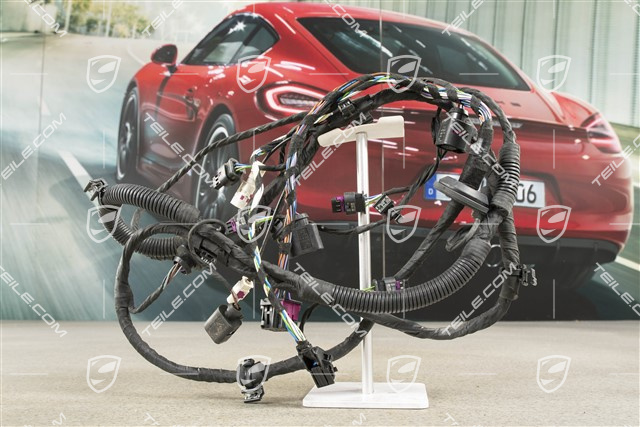 Kabelstrang, Stossfänger hinten, Einparkhilfe und Real Topview