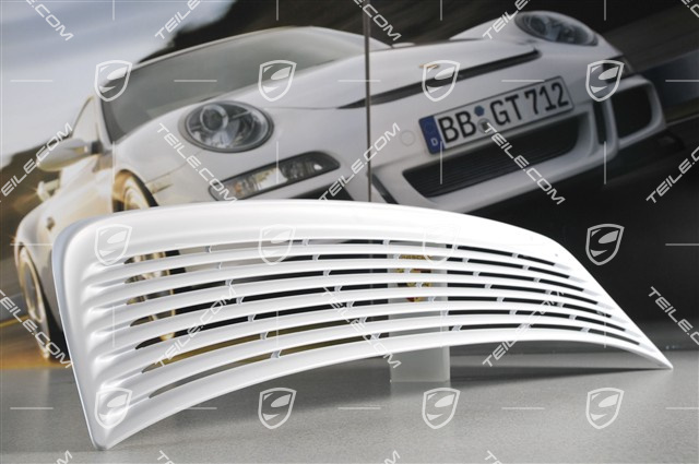 Spoiler, Oberteil (Gitter) Spoiler, Oberteil (Gitter)