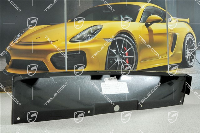 Air duct centre, GT3 CUP