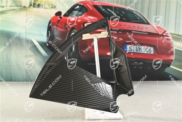 21 cali Taycan Exclusive Design blenda / kołpak carbon, tył, R