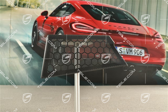 Lautsprecherblende, Vordertür, Türverkleidung, Schwarz, R