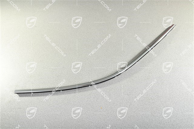 Zierleiste, seitlich, Alushine, L