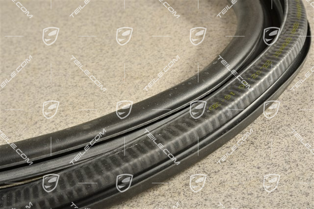 Hintertür, Tuerdichtung / Türdichtung, Aussen, L=R