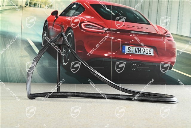 Gasket / Seal for side window, Coupe, L