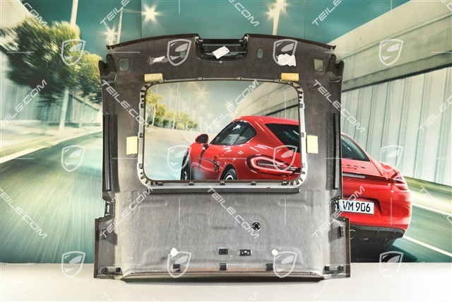 Dachverkleidung mit Glassschiebe/Austelldach, alcantara, Espresso