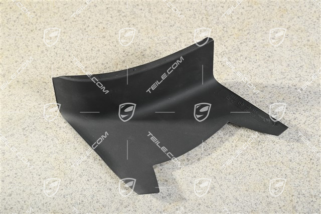 Rear light cover, outer, L