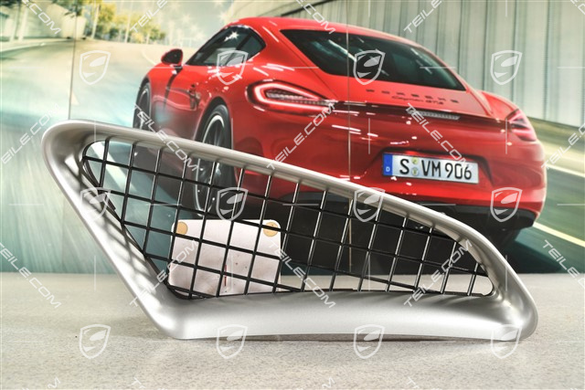 Air inlet grille, Titanium-Metallic, Spyder, L