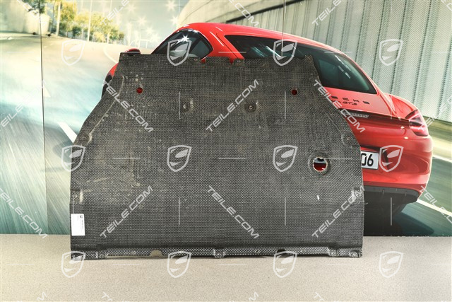 Unterbodenverkleidung, Unterbodenschutz, vorne