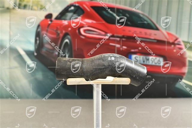 Wasserschlauch, Hybrid