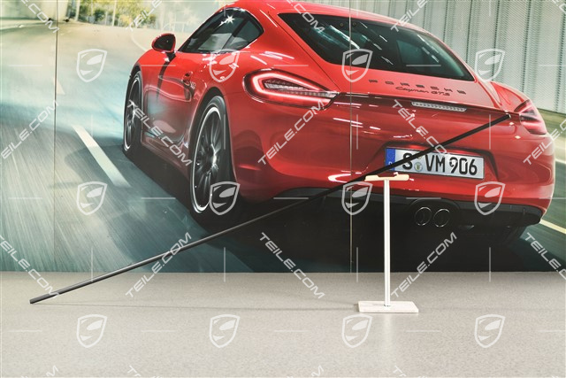 Zierleiste, Vordertür, Schwarz, L