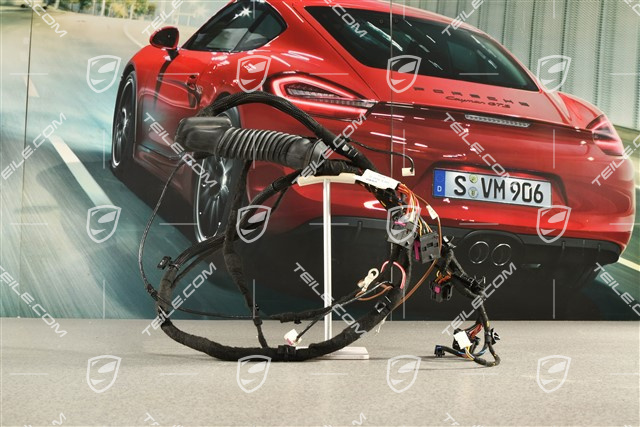 Kabelstrang, Heckklappe, L