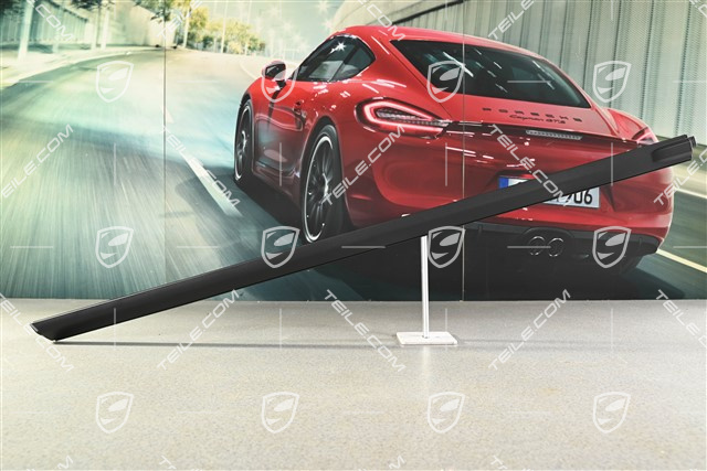 Einstiegsleiste, Vorne, aussen, Satinschwarz, L