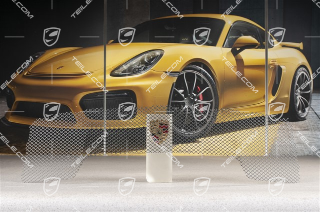 Ventilation grille, 911R