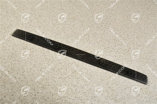 Einstiegleiste, Einlage / Gummipad, R