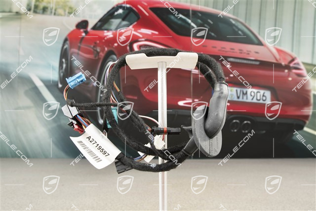 Kabelstrang, Außenspiegiel, Automatischer Abblendung, Spurwechselassistent