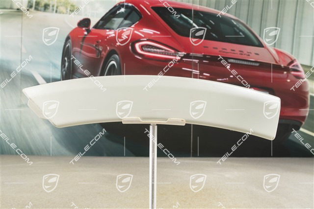 Osłona koła, błotnik tylny, R