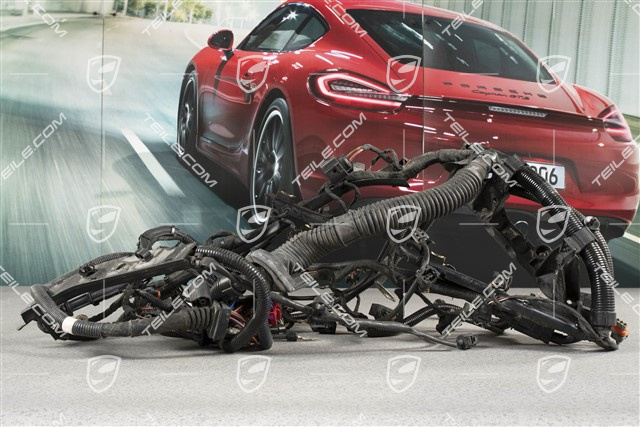 Engine wiring harness, 4.5L 330kW V8 Biturbo