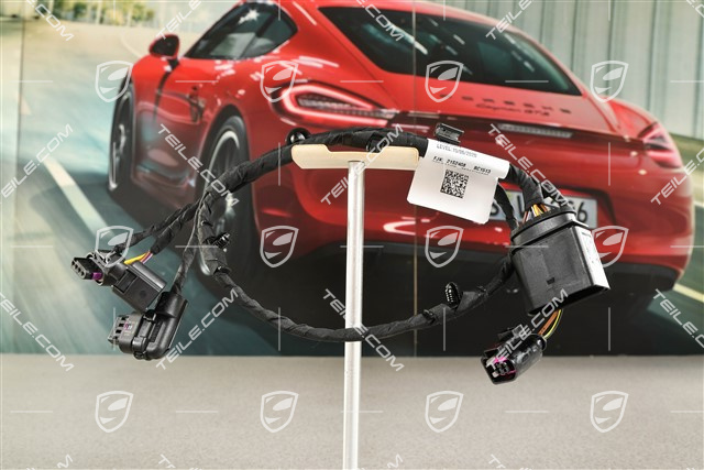 Front bumper Wiring harness / Electric loom, R