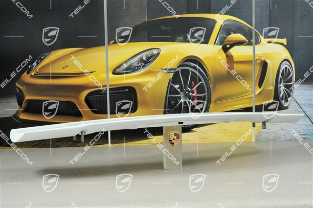 GT3 rear spoiler / wing, upper part
