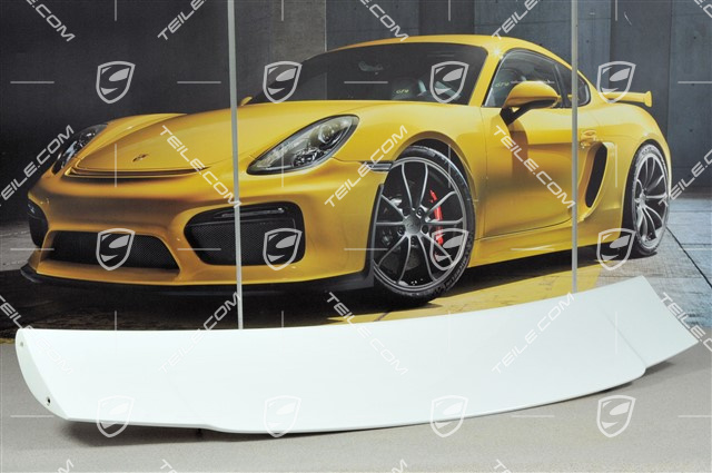 GT3 rear spoiler / wing, upper part