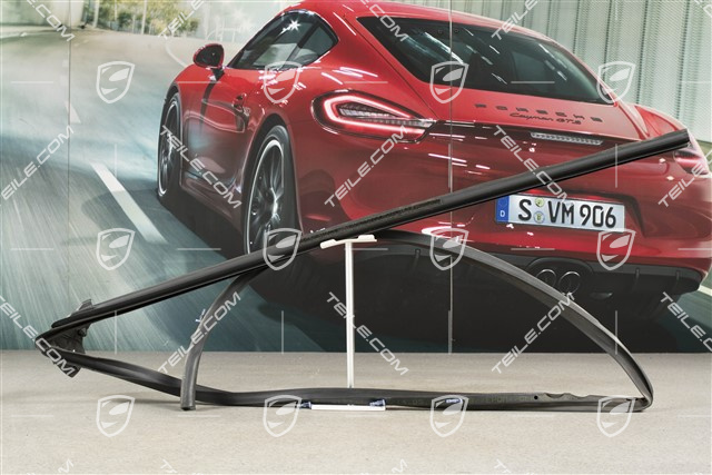 Cabrio / Coupe / Targa, Dichtung Türschacht, Innen, R