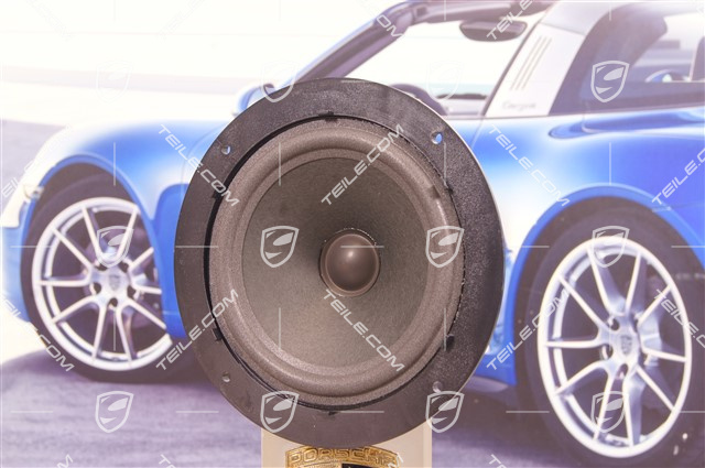 Door card audio speaker / woofer
