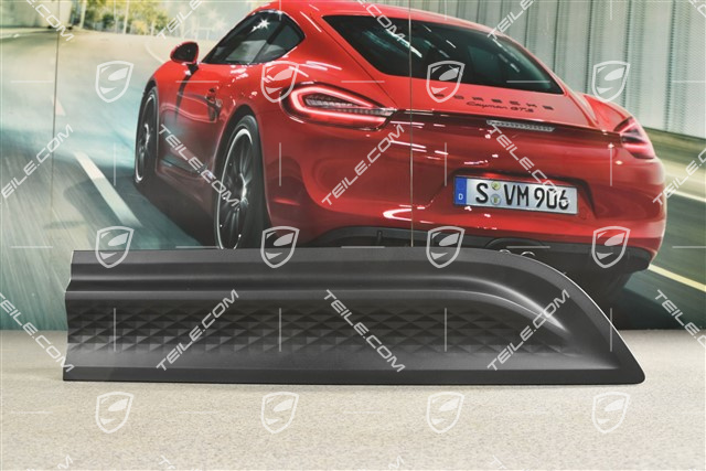 Rear door cover / trim, Matt black, R