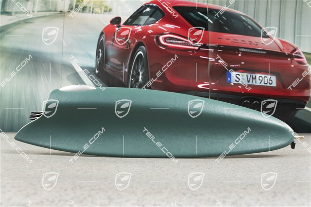 Klapka schowka w drzwi, Skóra, Nephrite green, L