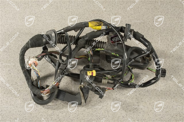 Wiązka instalacji elektrycznej, drzwi pasażera, R