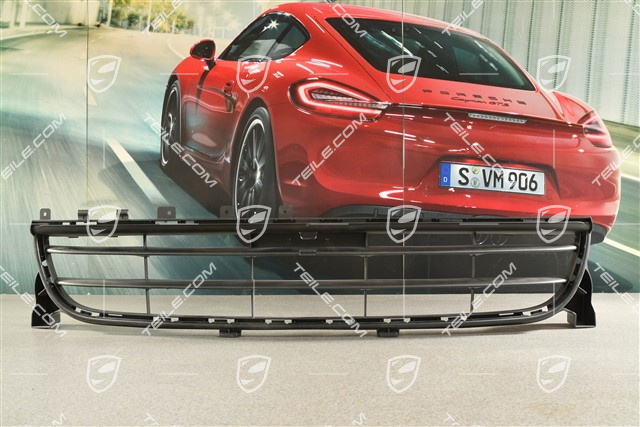 Front bumper Grille centre, Real Top View