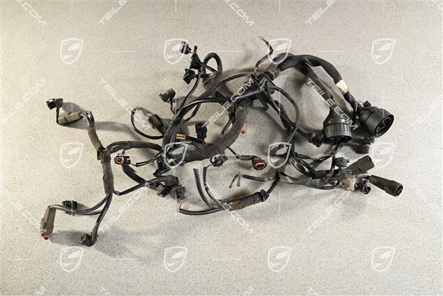 Wiring harness (cut plug)