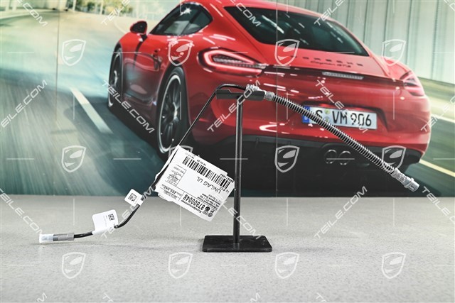 Brake hose, front axle, PCCB, L